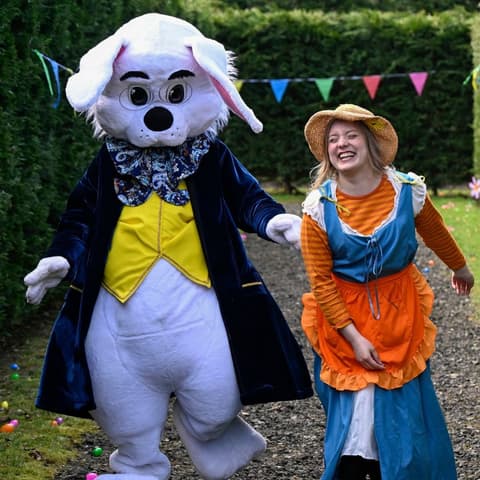 Conifox Easter Festival