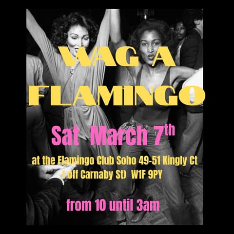 Wag a Flamingo