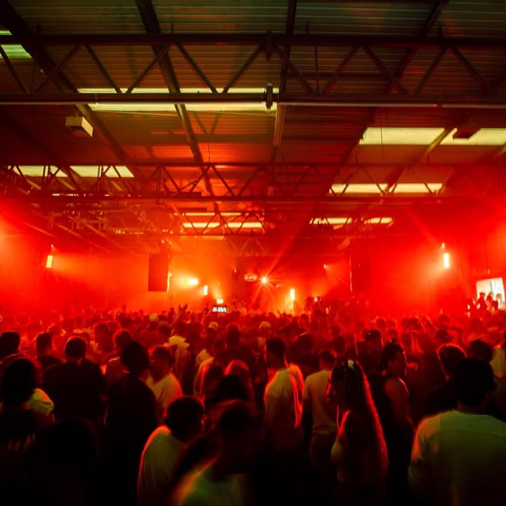 Contact: Kepler / SMTS / Boss Priester / Burnski / Marlie + more